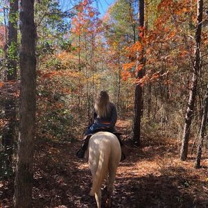 Meet your Posher, Jaylene